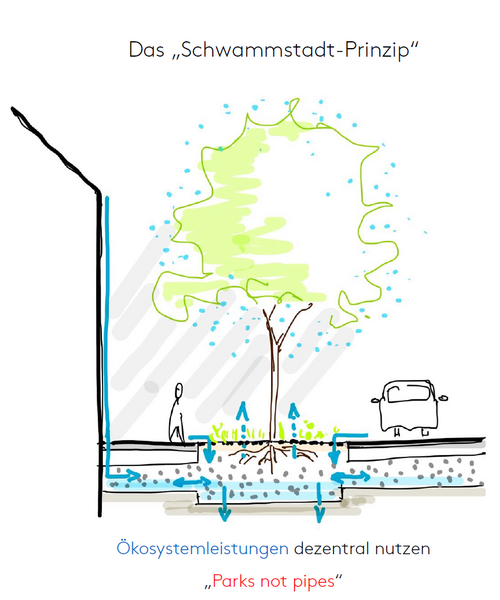 Das Schwammstadtprinzip: Regenwasser soll zu den Wurzeln von Bäumen gleitet und dort gespeichert werden und nicht im Abwasserkanal verschwinden.
